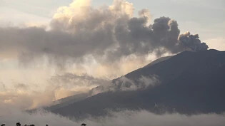 Wegen erhöhter Vulkanaktivität sind auf der indonesischen Insel Flores mehr als 2200 Menschen evakuiert worden. (Symbolbild)
