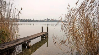 Der Blick nach Rapperswil ist da, der Weg nicht: Zürich könnte schon bald einen Uferweg bauen – und Rapperswil-Jona? 