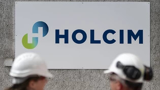 Holcim ist weiter auf Einkaufstour. Mit der deutschen Zinco kauft der Baustoff-Hersteller einen Anbieter für Dachbegrünungssysteme hinzu. (Symbolbild)