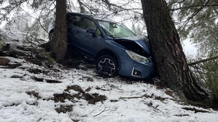 Selbstunfall in Davos Wiesen: Nach ersten Erkenntnissen ist eine 82-jährige Autofahrerin in eine Stützmauer geprallt und rund zehn Meter die steile Böschung hinunter gestürzt. Dort prallt sie frontal gegen einen Baum.
