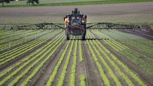 Die totalrevidierte Pflanzenschutzmittelverordnung fällt bei Parteien und Verbänden durch: Pestizid-Einsatz auf einem Feld in Birmensdorf ZH. (Archivbild)
