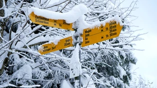 Wo gehts lang? Dieser Wegweiser wird vom Schnee teilweise verdeckt.