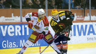 Der Berner Topskorer Austin Czarnik brillierte gegen Biel mit zwei Toren