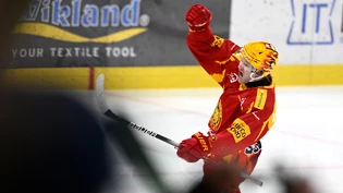 Doppeltorschütze Dario Rohrbach ist Langnaus grosse Figur beim 3:2-Heimsieg gegen Lausanne