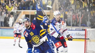 Der HCD jubelt auch im zweiten Heimspiel der Halbfinalserie gegen die ZSC Lions