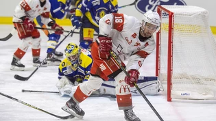 Der HCV Martigny spielt künftig nicht mehr in der dritthöchsten Liga der Schweiz, der Klub aus dem Wallis zieht sich aus der MyHockey League zurück