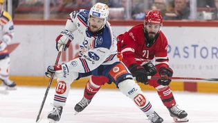 Yannick Zehnder hat mit dem Wechsel zum ZSC alles richtig gemacht