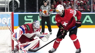 Andres Ambühl im WM-Final vom letzten Jahr gegen Tschechien