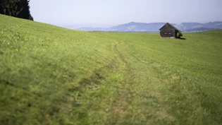 Trügerische Idylle: Die Eggersrieter Höhe ist eines der Gebiete, in welchem mit PFAS-Chemikalien belastete Flächen festgestellt wurden.