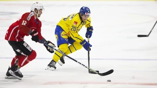 André Petersson (rechts) spielt in der kommenden Saison für die SCL Tigers