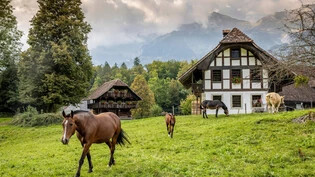 Der Ballenberg im Berner Oberland: Das Festgelände ist mit 66 Hektaren sehr weitläufig.
