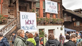 Protest gegen Raubtier: Am Chäsmärt in Elm wird mit Plakaten Stimmung gegen den Wolf gemacht. 