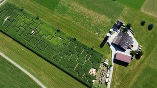 Das Labyrinth 2022 von oben: Seit drei Jahren wird auf dem Matthof in Schübelbach SZ ein Irrgarten durch das Maisfeld geschaffen.