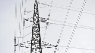Teures Netz: Der Betrieb der Stromnetze ist teurer geworden, was sich auch im Strompreis für die Haushalte zeigt.