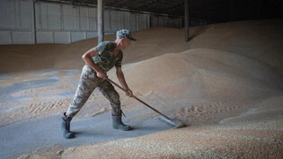 Vom Krieg und Importverboten gebeutelt: Ein Arbeiter harkt Weizen in einem Getreidespeicher auf einem privaten Bauernhof in der Region Kiew in der Ukraine. 