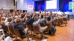 Erneuerbare Energie statt Gas: Die Bürgerversammlung von Rapperswil-Jona fordert einen städtischen Fonds für den Heizungsersatz bei Privaten.