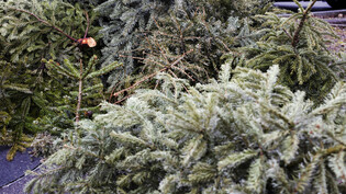 Sei es der Weihnachtsbaum oder Adventskranz – irgendwann muss dieser entsorgt oder verstaut werden.