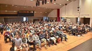 Gut gefüllter Stadtsaal im Joner «Kreuz»: Rund 300 Interessierte verfolgen die Podiumsdiskussion zum Stadttunnel.