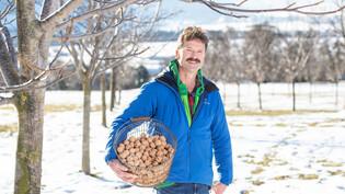 Der grösste Bündner Nussproduzent: Bauer Johannes Janggen aus Malans besitzt 1300 Walnussbäume. 