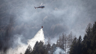 Löscharbeiten in den Hügeln von Gambarogno am Lago Maggiore am  1. Februar – auch im Kanton Tessin gilt ein Feuerverbot.
