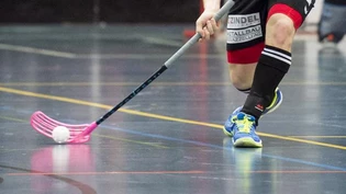 Unihockey Alligator