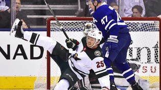 Wild Maple Leafs Hockey