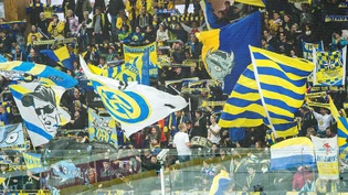 HCD Eishockey Davos Fans