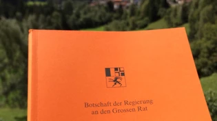 Die Botschaft hat 226 Seiten und sollte voraussichtlich im Herbst im Parlament diskutiert werden.