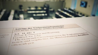 Art. 22 Abs. 5 sorgte für hitzige Diskussionen.