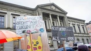 «Unsere Forderungen sind extrem»: Glarner Schüler demonstrieren Mitte März für das Klima.