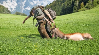 Knochenarbeit: Die Bergung des erlegten Tiers ist selbst in gängigem Gelände mit einem Kraftakt verbunden.