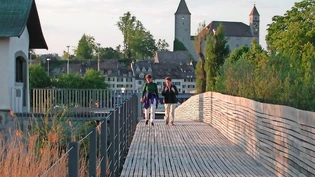 Beliebt: Der Holzsteg zwischen Rapperswil und Hurden ist seit Kurzem wieder offen. Nun muss er saniert werden – die Stadt muss einem Pilz den Garaus machen.  Bild Archiv