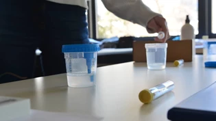  Nach Masken und Plexiglaswänden folgen nun Schnelltests: Die Flüssigkeit landet im Röhrchen, nachdem die Schülerinnen und Schüler eine Kochsalzlösung gegurgelt haben, und wird dann am Ende in einen Pool-Becher geleert.