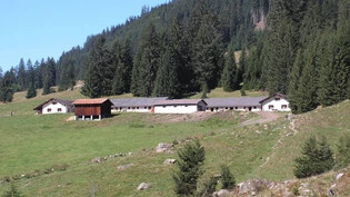 Die Gemeinde Klosters befindet sich in der beneidenswerten Lage, aufgrund der finanziellen Gegebenheiten die Alpgebäude umfassend sanieren zu können.