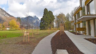 Auf Anweisung der Gemeinde: Für die im Kurfürstenpark Weesen illegal gefällten Bäume musste der Bauherr 35 neue pflanzen (rechts im Bild die neuen Mehrfamilienhäuser).