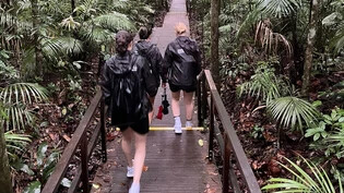 Ausflug in den Dschungel: Das Unihockey-Nationalteam wagt sich in die Wälder von Singapur. 