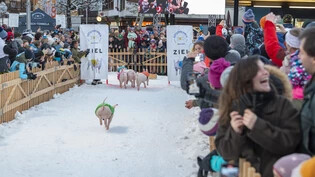 Mit Schwein ins neue Jahr starten: In Klosters findet jeweils am Neujahrstag das traditionelle Hotschrennen statt.