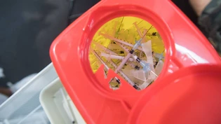 Interesse sinkt: Graubünden verzeichnet aktuell nicht mehr allzu viele Anmeldungen zur Coronaimpfung.  