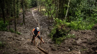 Unzufrieden mit Entscheid: Eine Revierförsterstelle in Poschiavo soll anderenorts neu besetzt werden. Das sorgt in der Gemeinde für Unmut.