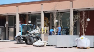 Die 16 Bäume auf dem Arkadenplatz wurden während zwei Tagen umgetopft.