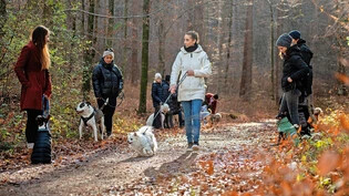 Hat das Projekt ins Leben gerufen: Franziska Bechmann (Mitte) organisiert seit Oktober Social Dog Walks in Chur.