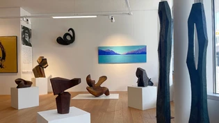 Zeitlos schön: Not Botts Skulpturen sind in der Central Art Gallery neben andern Künstlern wie Thomas Seilnacht, Ernestina Abbühl und Patrick Nyfeler ausgestellt.