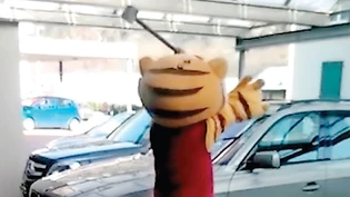 2018 zertrümmerte ein als Tiger verkleideter Mann mit einem Vorschlaghammer das Auto eines Richters.