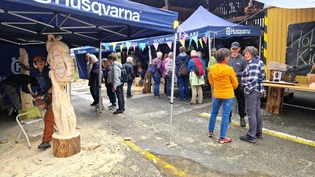 Faszinierte Besucherinnen und Besucher: Die 7. Holzart in Elm stösst auf grosses Interesse.