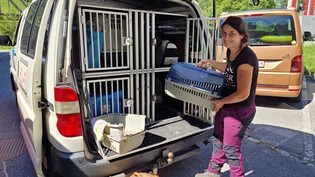 Tierschützerin Jeannette Beer freut sich: Es können neun weitere Katzen aus der Gefahrenzone geholt und in Sicherheit gebracht werden.