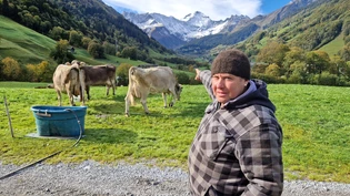 Sieben Alpakas verloren: Landwirt Urs Elmer zeigt auf die Wiese, auf der seine Tiere gerissen wurden.