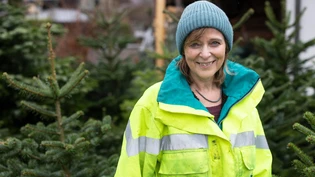 Ärgert sich über den Autolärm: Anwohnerin Hedy Schnyder hat das Gefühl, dass die Autos auf der Mattstrasse nicht weniger geworden sind.