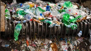 Vernünftige Abfalltrennung: Die Schweiz gehört bereits zu den Spitzenreitern in Sachen Recycling. Aber da geht noch mehr.