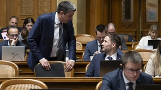 Zwei Glarner Bundesvertreter arbeiten zusammen: Mathias Zopfi (links) hat im Ständerat eine Motion für die Rettung der Direktverbindung vom Glarnerland nach Zürich eingereicht. Dort will sich heute Dienstag Nationalrat Markus Schnyder dafür einsetzen. 