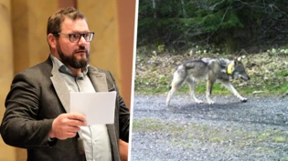 Der Urheber: Landrat Franz Freuler hat das Wolfsmonitoring initiiert.